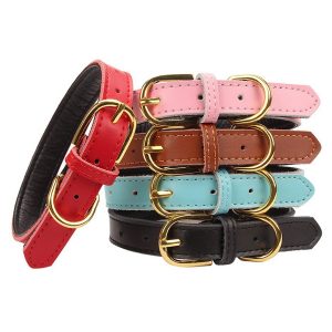 Aolove Basic Classic Padded Leather Cat Collar