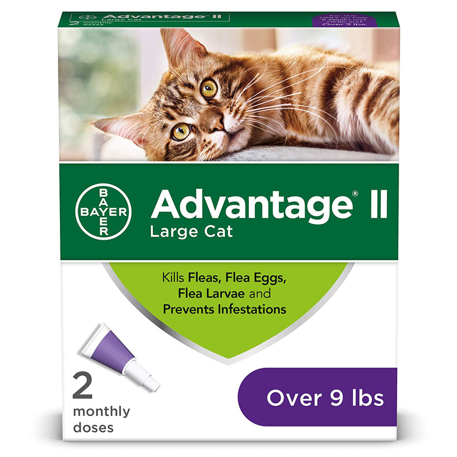 Bayer Advantage II Prevention Cat Flea Treatment