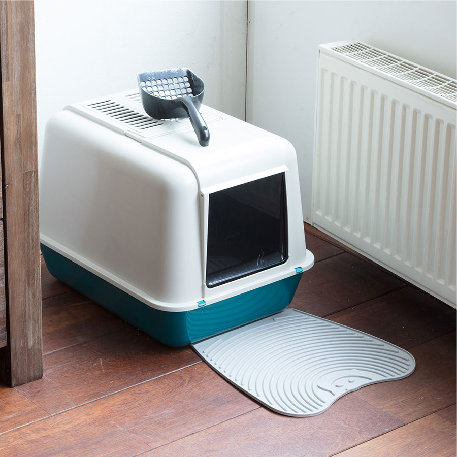 Best Automatic Cat Litter Box • Reviews & Buying Guide