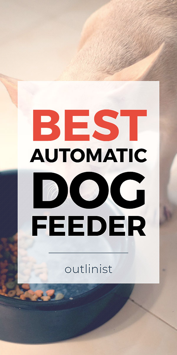 Best Automatic Dog Feeder • Reviews & Buying Guide