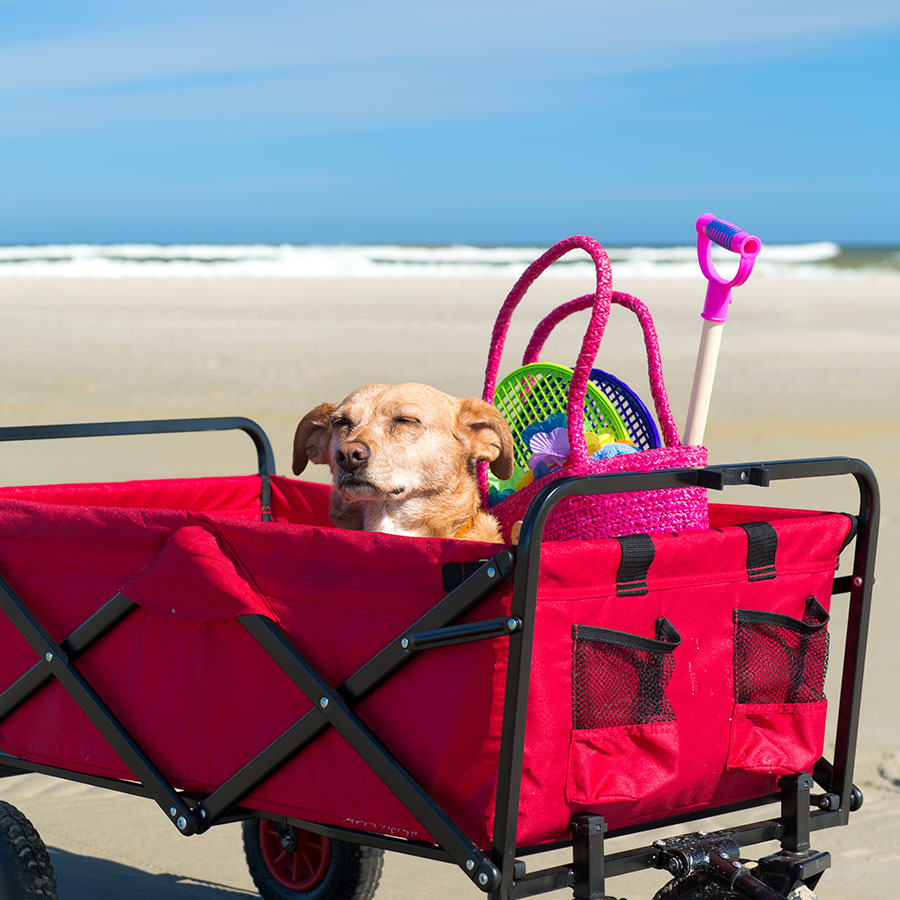 Best Beach Cart • Reviews & Buying Guide