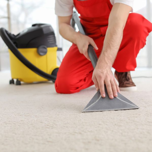 Best Carpet Cleaner