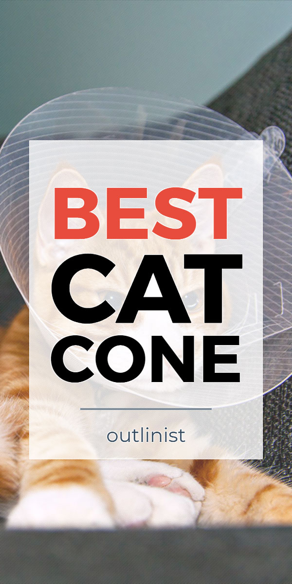 Best Cat Cone • Reviews & Buying Guide