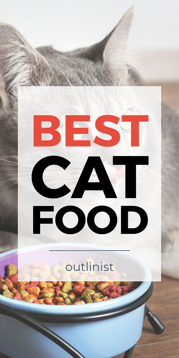 Best Cat Food • Reviews & Buying Guide