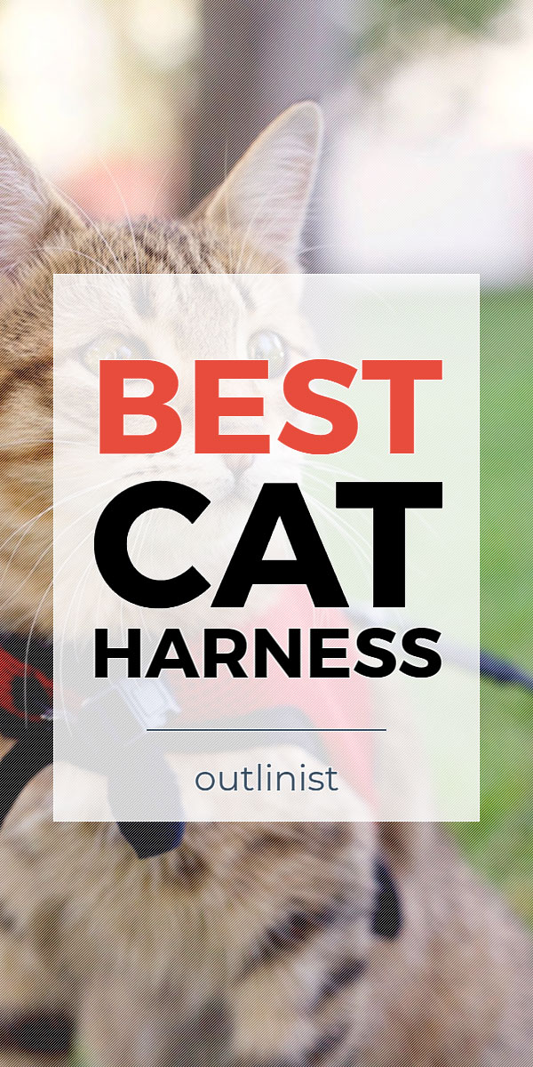 Best Cat Harness • Reviews & Buying Guide