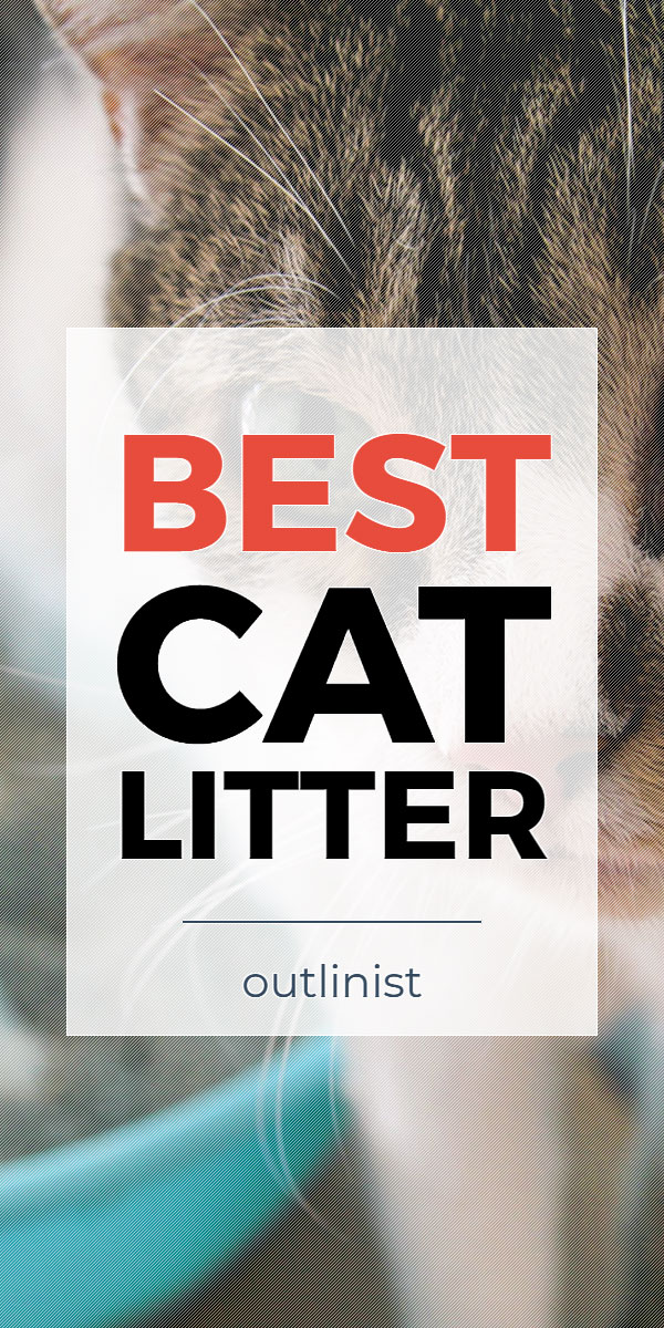 Best Cat Litter • Reviews & Buying Guide