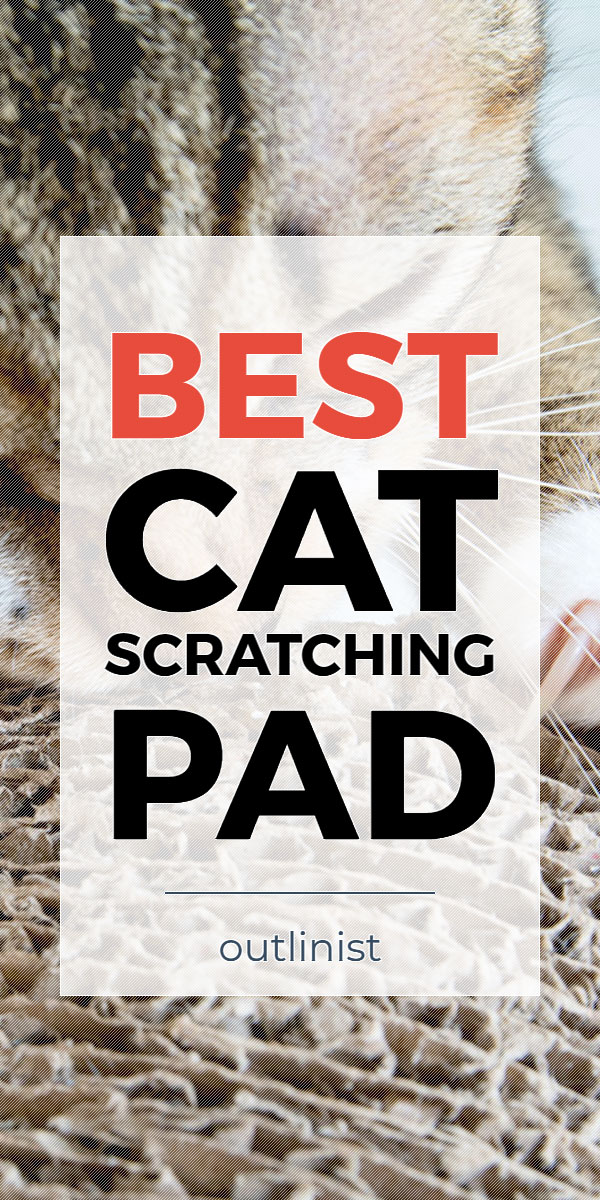 Best Cat Scratching Pad • Reviews & Buying Guide