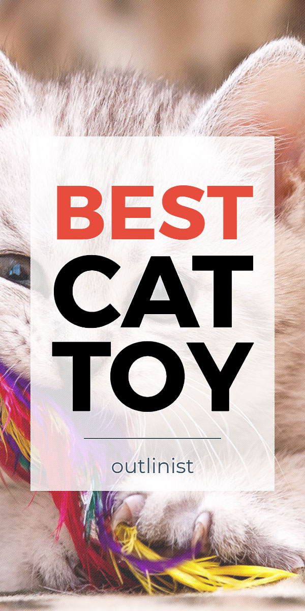 Best Cat Toy • Reviews & Buying Guide