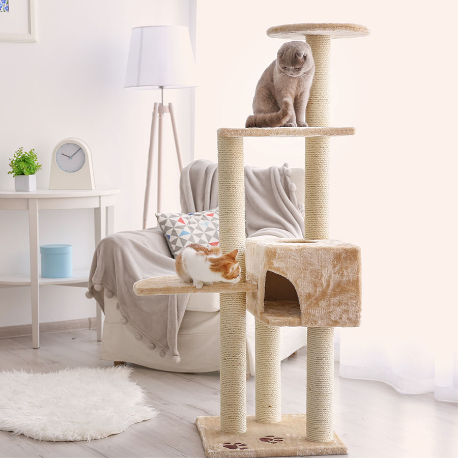 Best Cat Tree • Reviews & Buying Guide