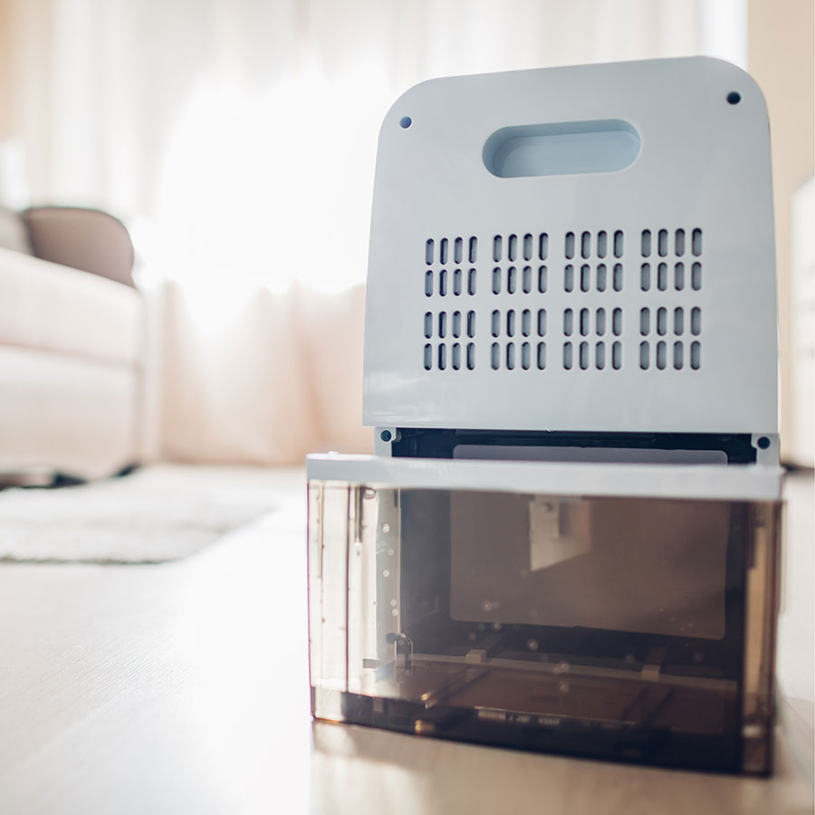 Best Dehumidifier • Reviews & Buying Guide