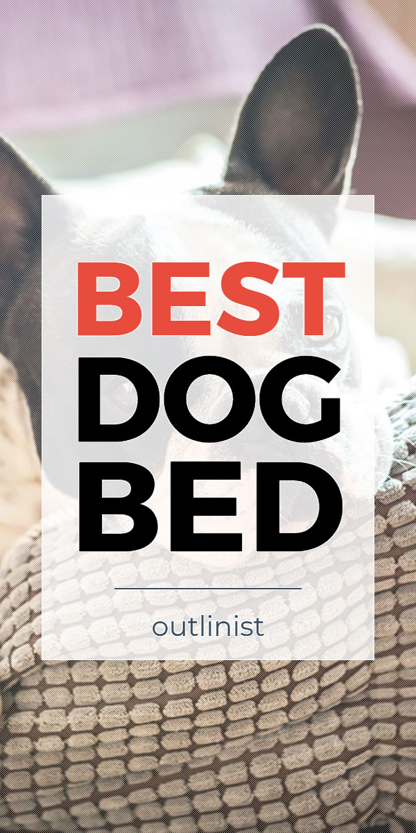 Best Dog Bed • Reviews & Buying Guide