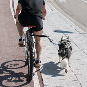 Best Dog Bicycle Leash