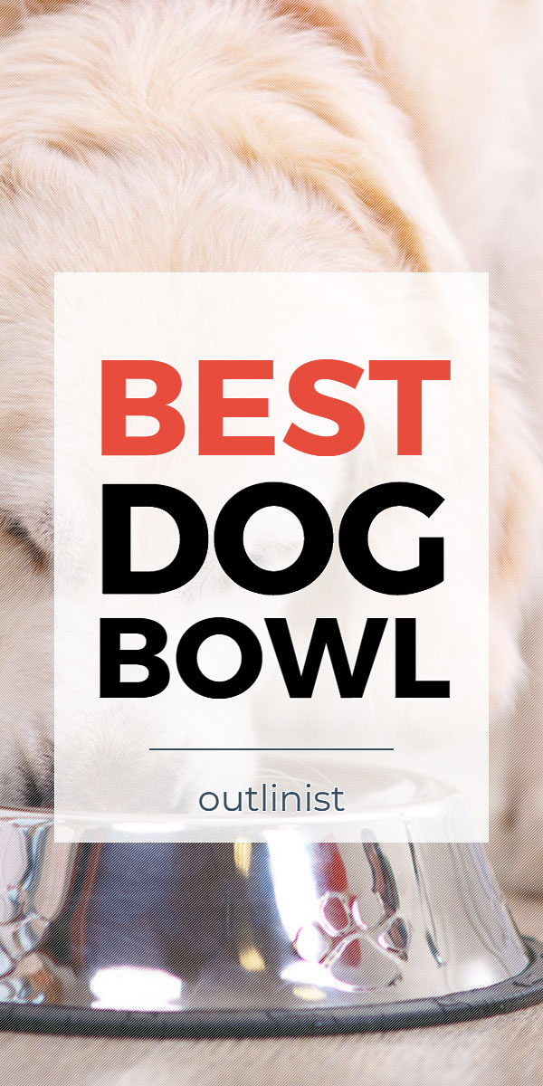 Best Dog Bowl • Reviews & Buying Guide