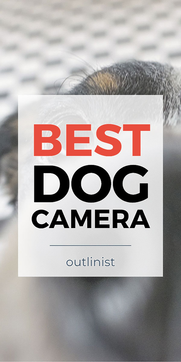 Best Dog Camera • Reviews & Buying Guide