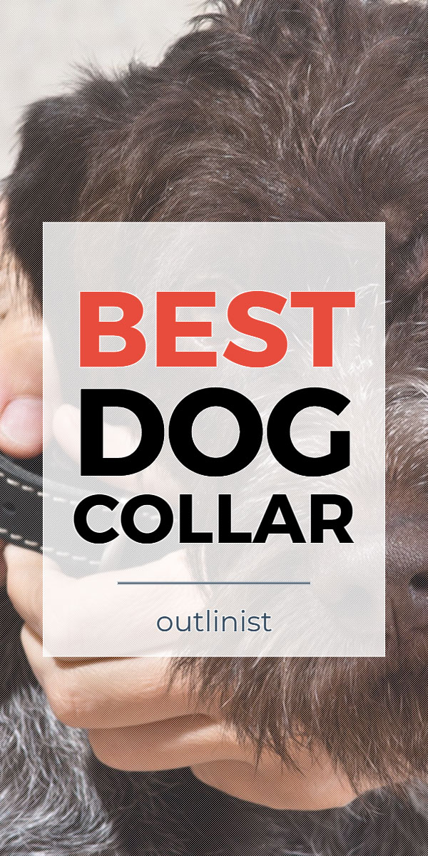 Best Dog Collar • Reviews & Buying Guide