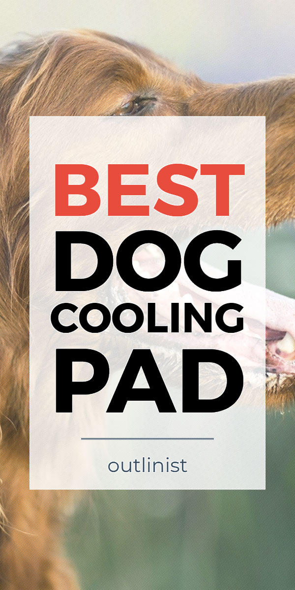 Best Dog Cooling Pad • Reviews & Buying Guide