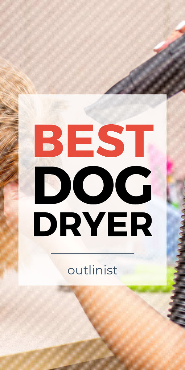 Best Dog Dryer • Reviews & Buying Guide