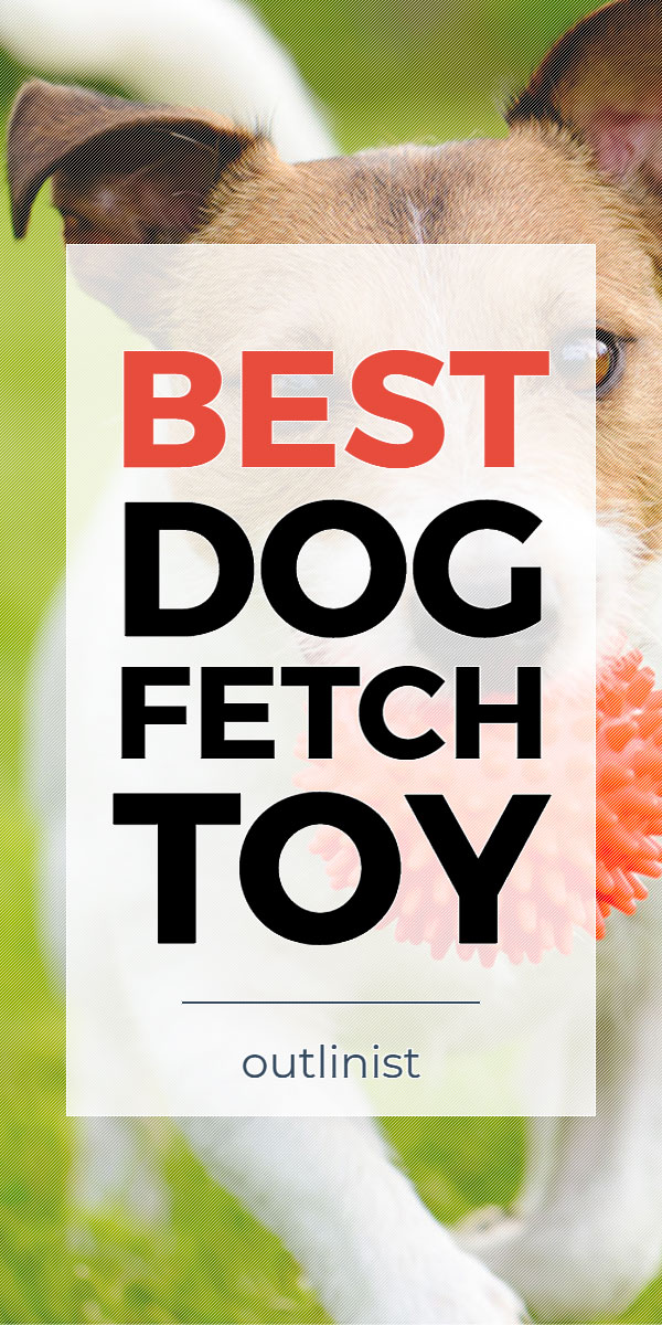 Best Dog Fetch Toy • Reviews & Buying Guide