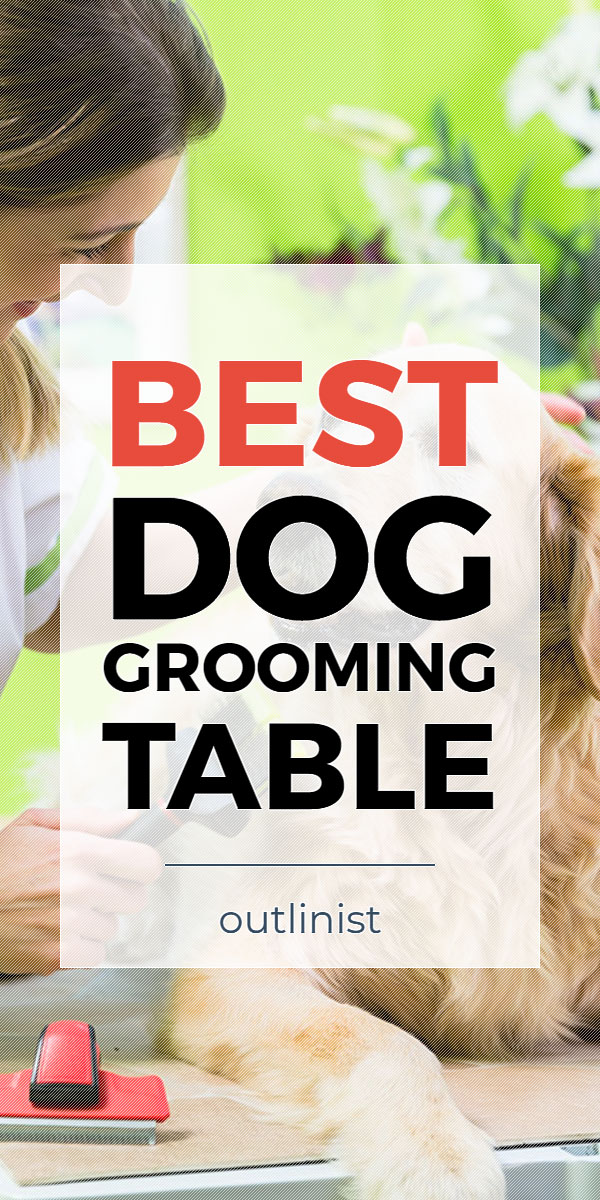 Best Dog Grooming Table • Reviews & Buying Guide