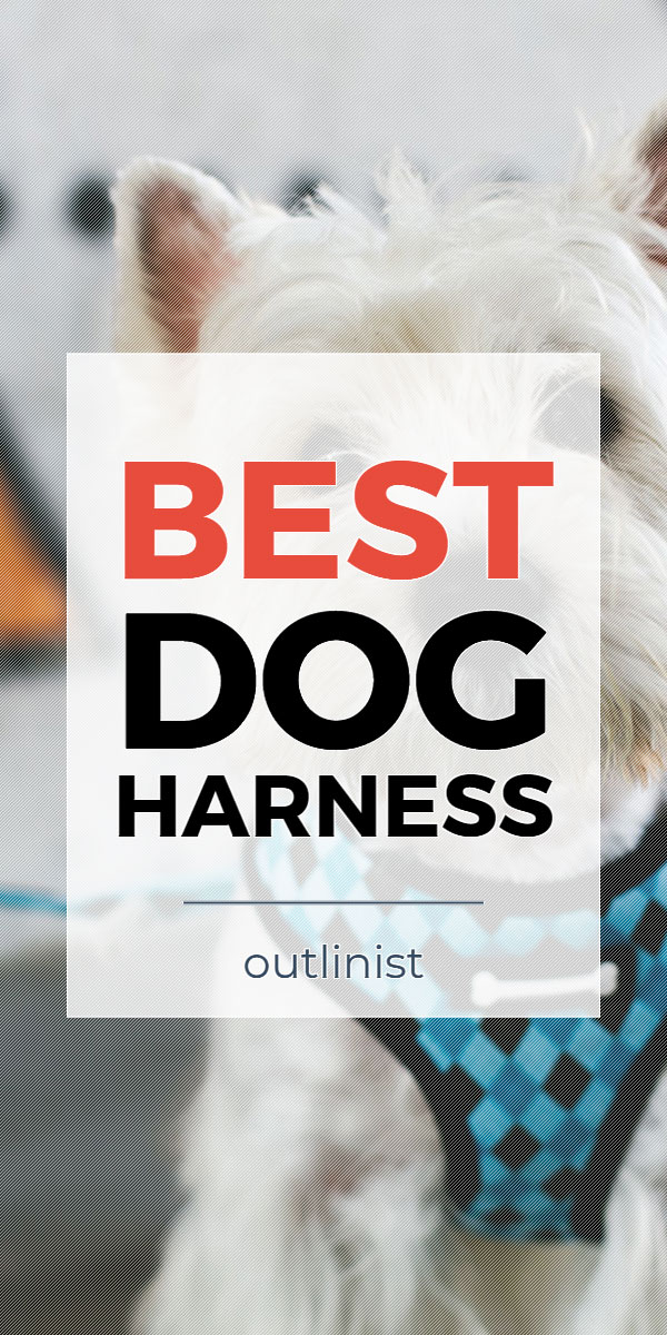 Best Dog Harness • Reviews & Buying Guide