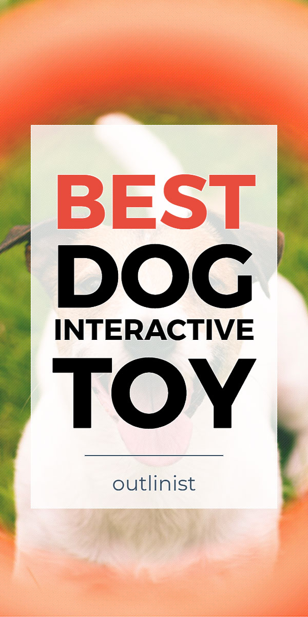 Best Dog Interactive Toy • Reviews & Buying Guide