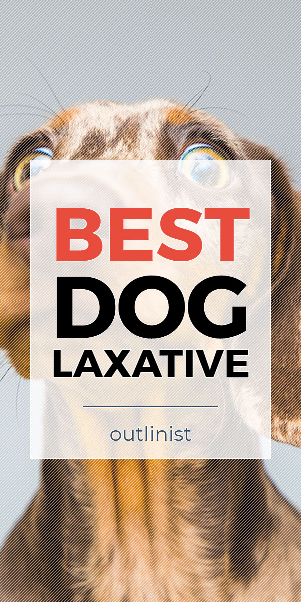 Best Dog Laxative • Reviews & Buying Guide