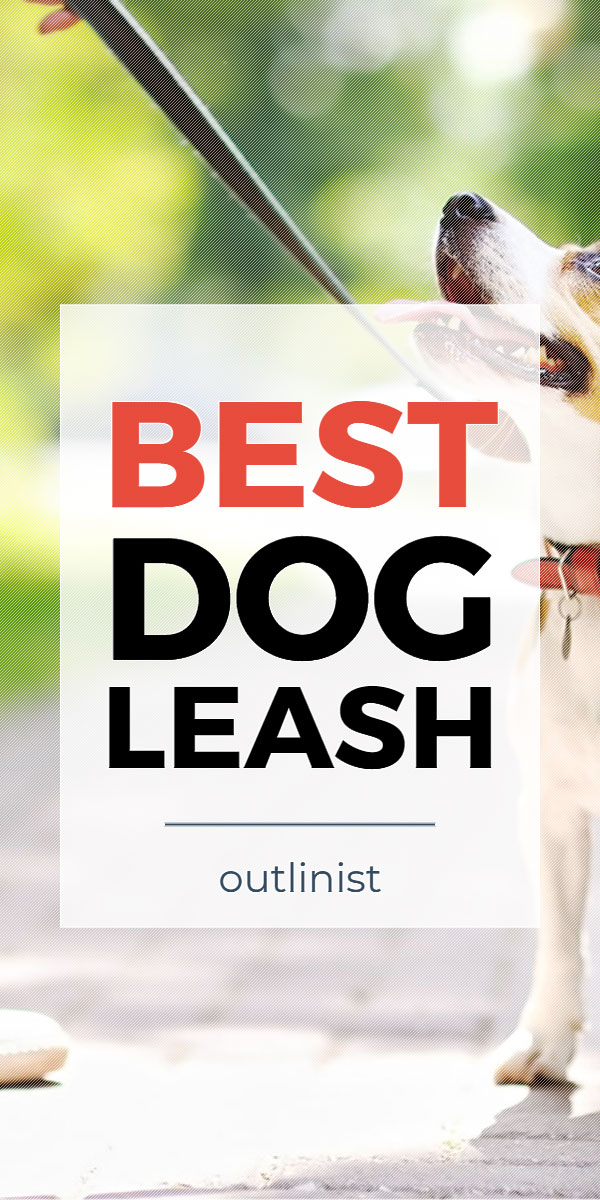 Best Dog Leash • Reviews & Buying Guide