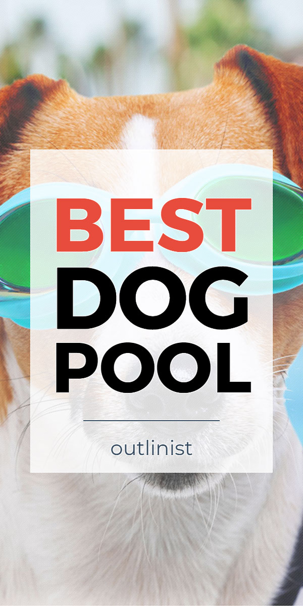 Best Dog Pool • Reviews & Buying Guide