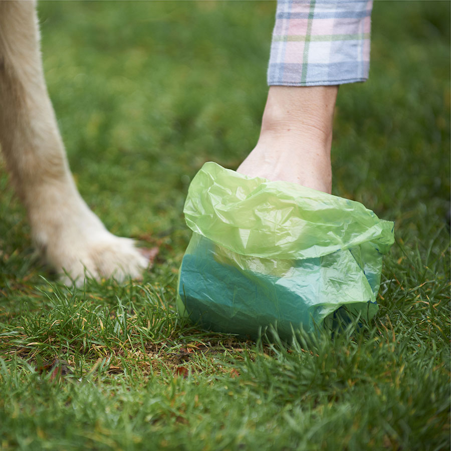 Best Dog Poop Bags • Reviews & Buying Guide