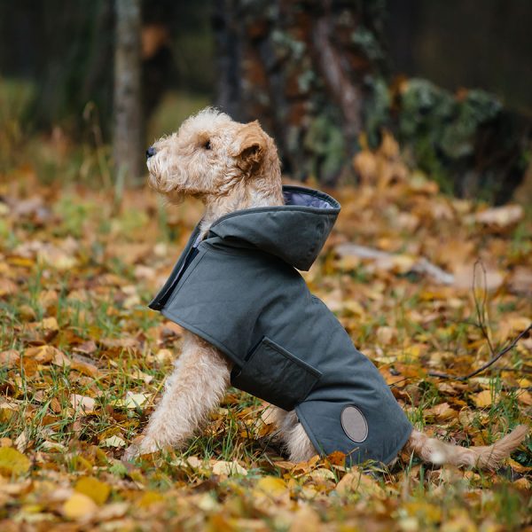 Best Dog Raincoat