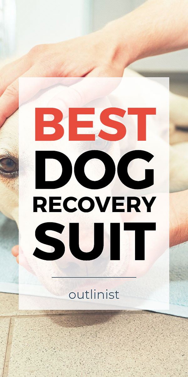 Best Dog Recovery Suit • Reviews & Buying Guide