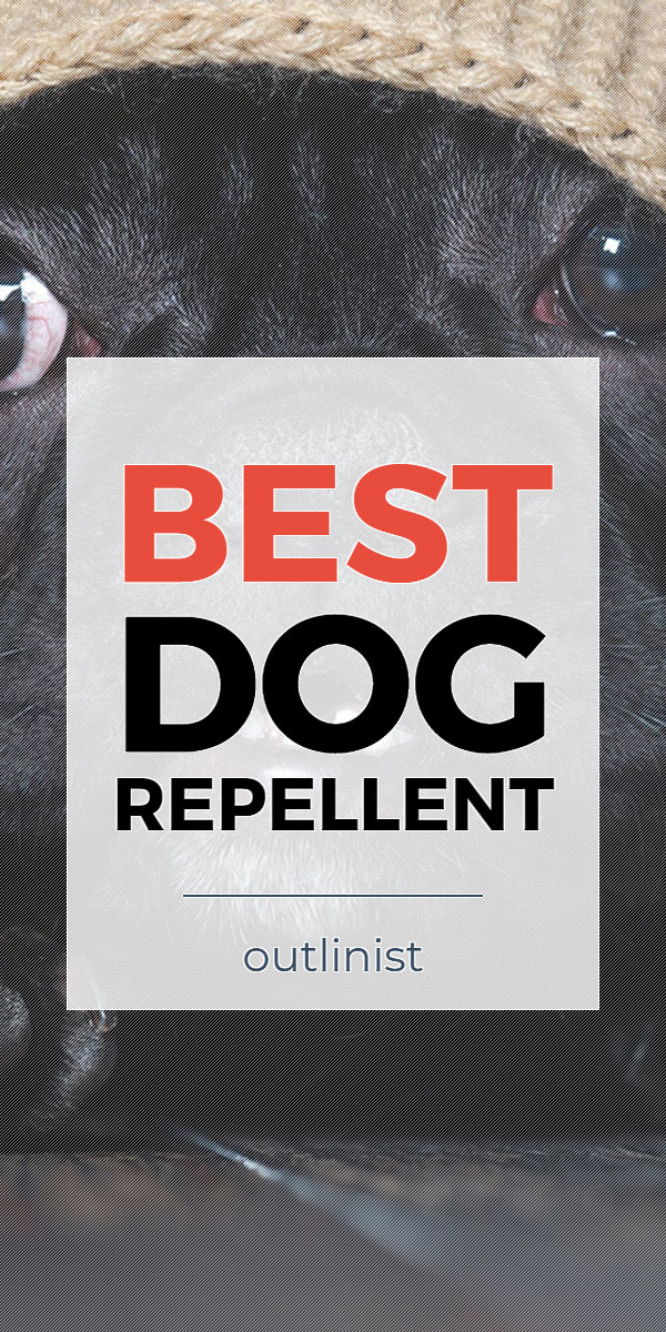 Best Dog Repellent • Reviews & Buying Guide