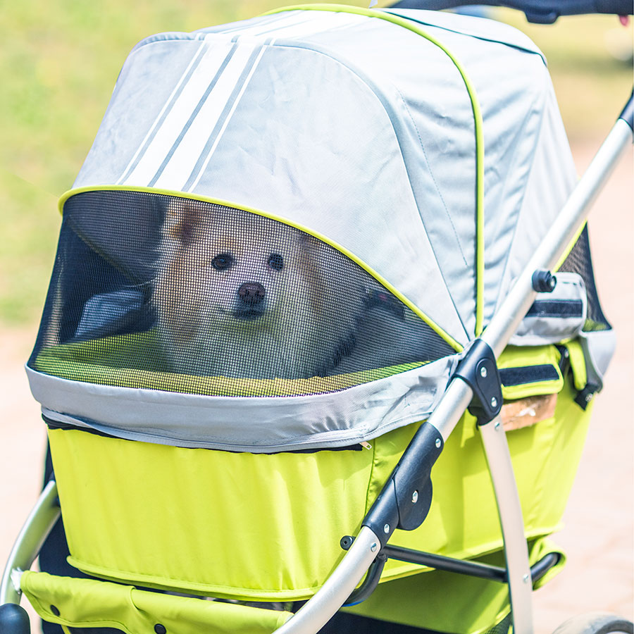 Best Dog Stroller • Reviews & Buying Guide