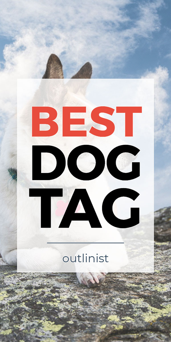 Best Dog Tag • Reviews & Buying Guide