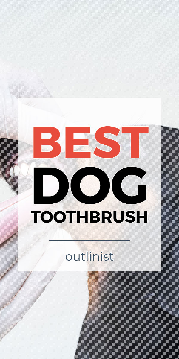 Best Dog Toothbrush • Reviews & Buying Guide