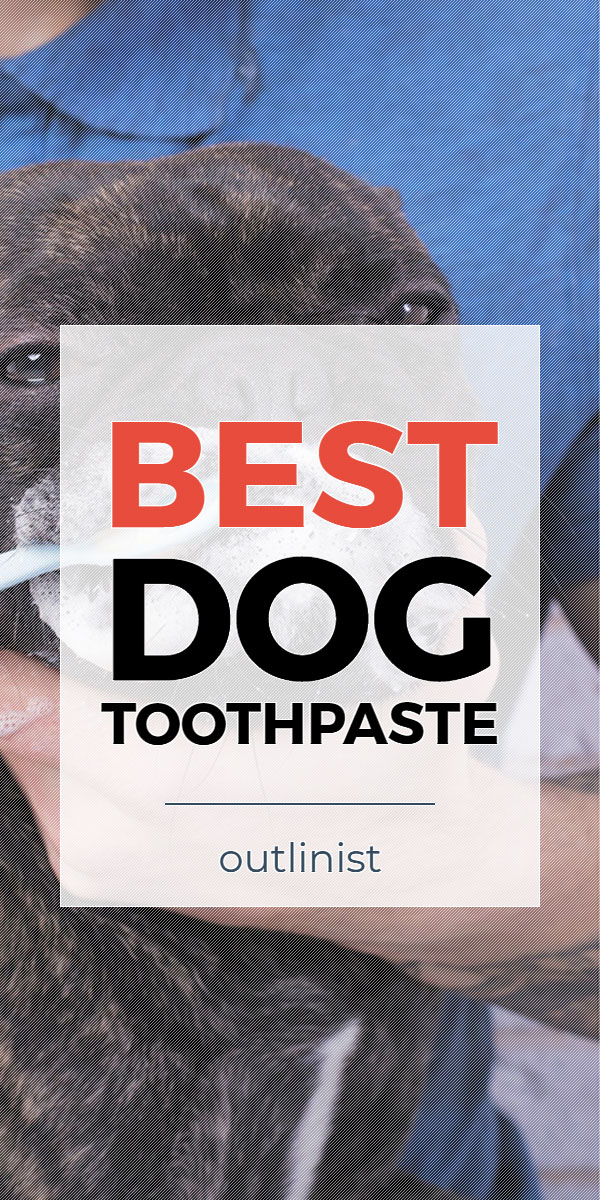 Best Dog Toothpaste • Reviews & Buying Guide