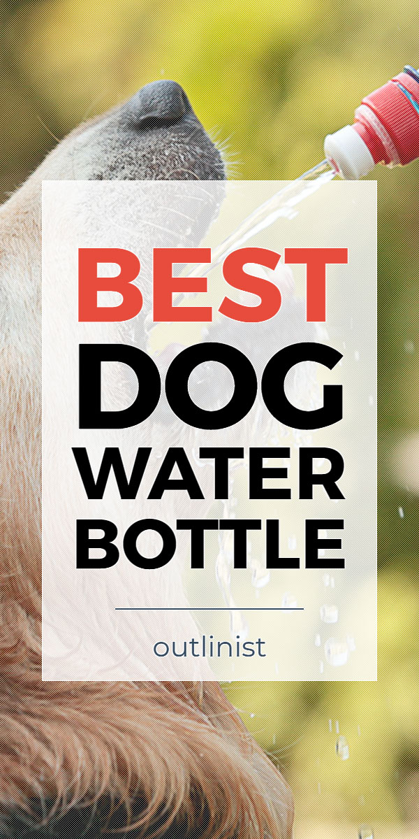 Best Dog Water Bottle • Reviews & Buying Guide