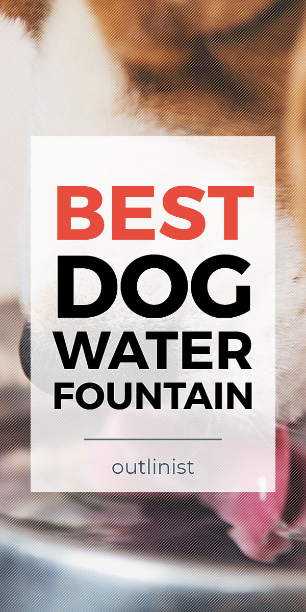 Best Dog Water Fountain • Reviews & Buying Guide