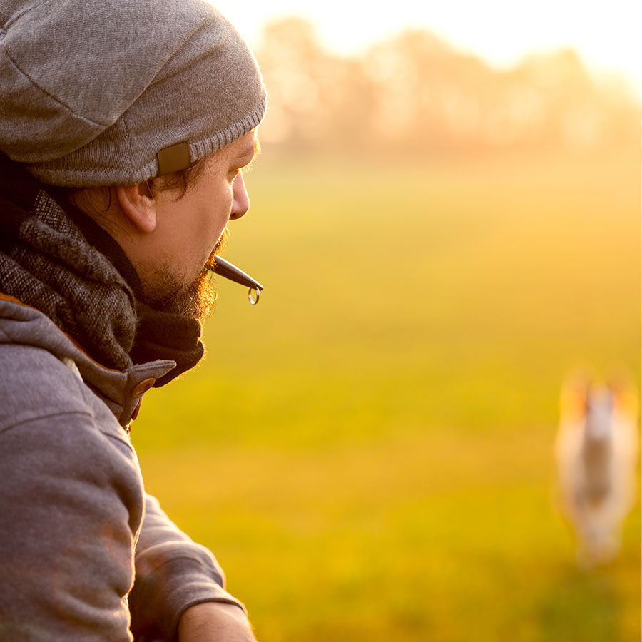 Best Dog Whistle • Reviews & Buying Guide