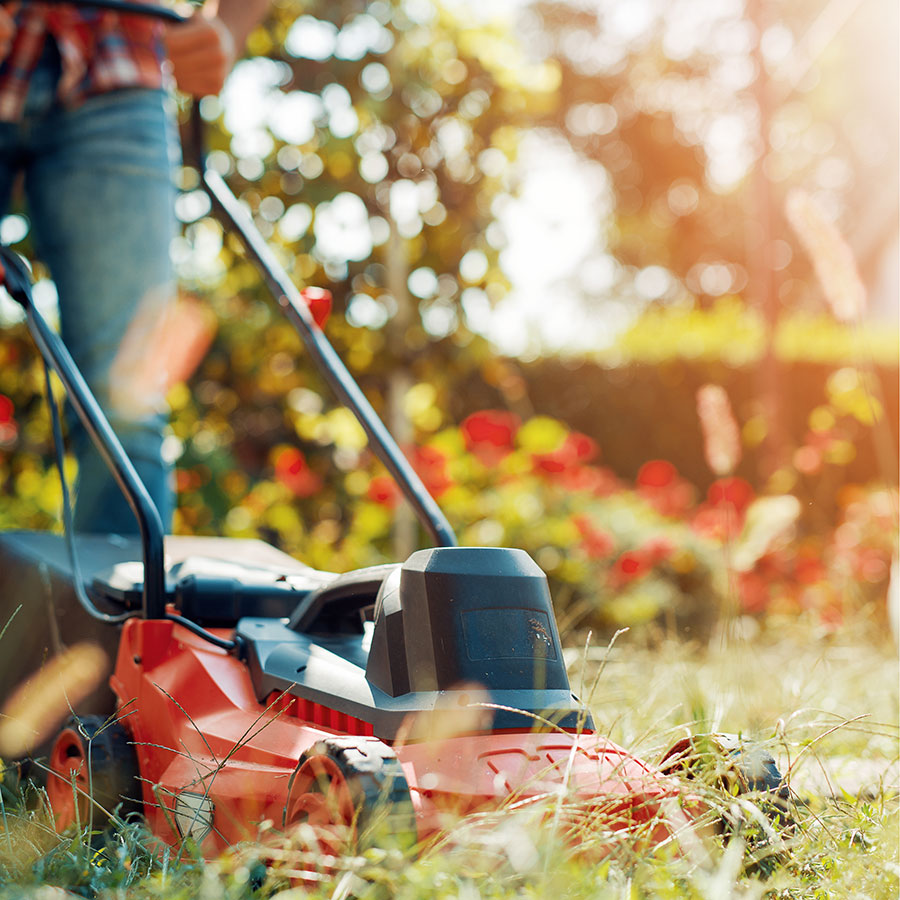 Best Electric Lawn Mower • Reviews & Buying Guide