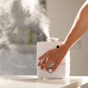 Best Humidifier