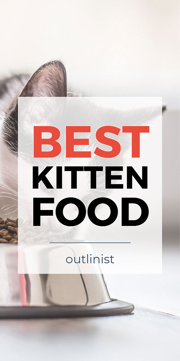 Best Kitten Food • Reviews & Buying Guide