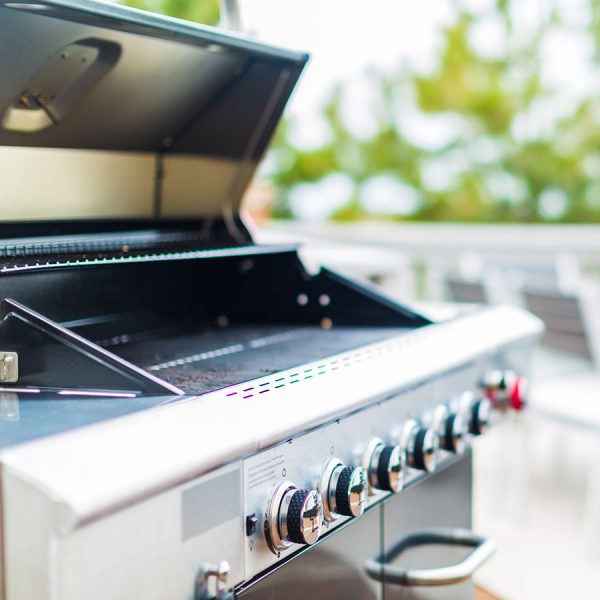 Best Portable Propane Grill