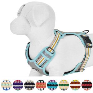 Blueberry Pet 3M Reflective Mesh Padded Dog Harness