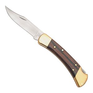 Buck Knives 110 Famous Folding Hunting Knife