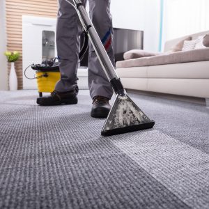 Carpet Cleaner Vs Vacuum Cleaner