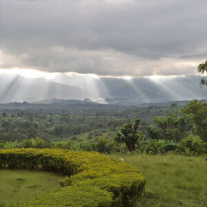 Christmas in Democratic Republic of The Congo