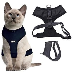 Dexil Luxury Water-Resistant Padded Cat Harness