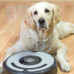 Do Robot Vacuum Work For Dog Hair