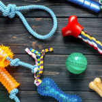 The 4 Types Of Dog Toys (Explained)